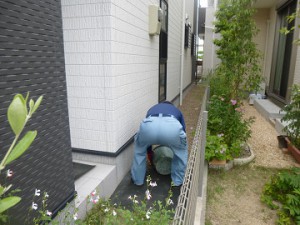 福岡市早良区飯倉　防草工事