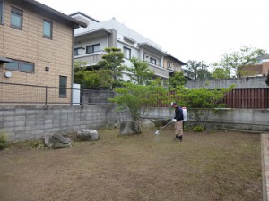 除草作業